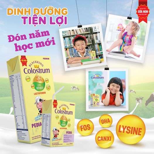 ĐI HỌC VUI KHỎE CÙNG BLACKKING – THƠM NGON MÀ TIỆN LỢI